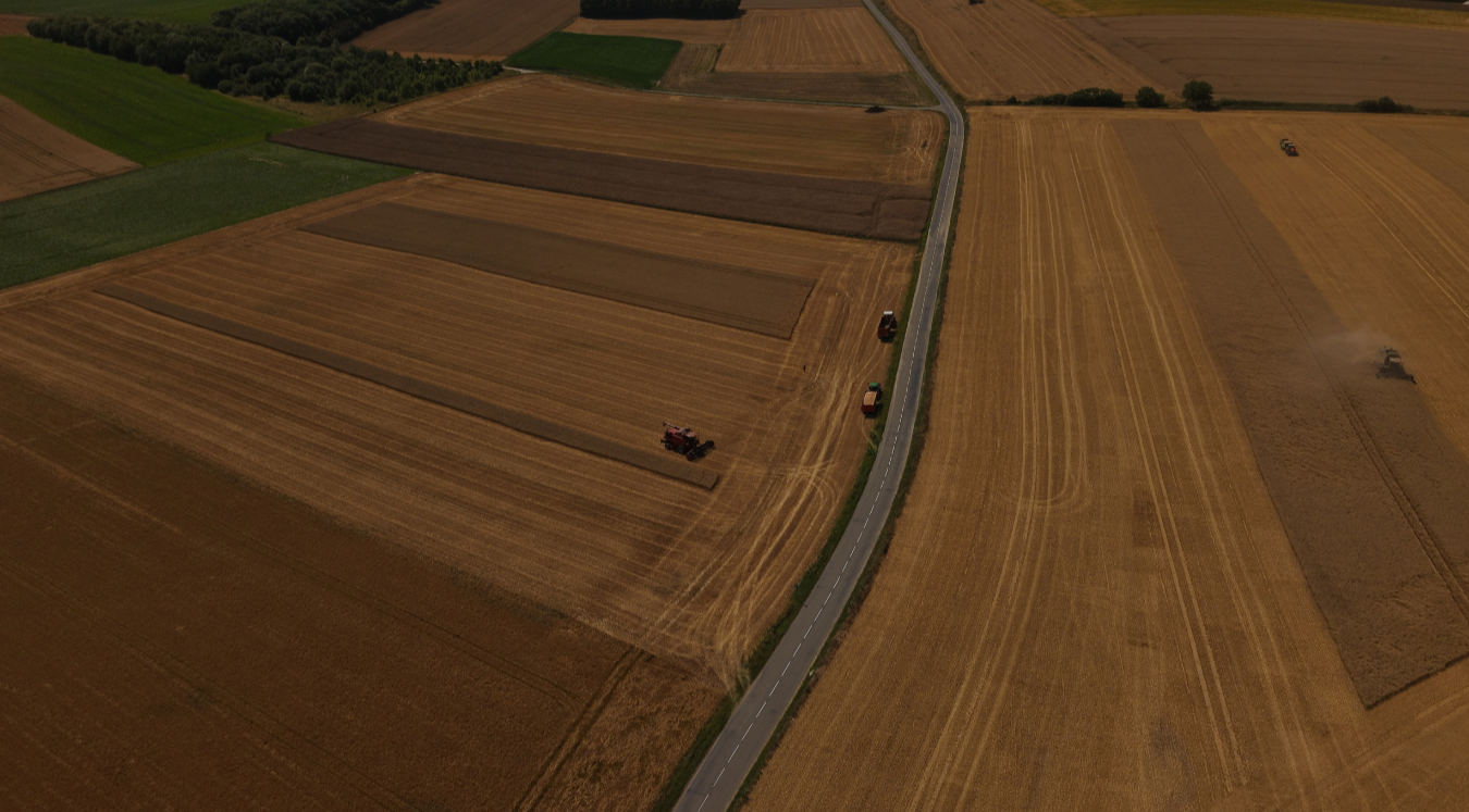 Cinematic drone view